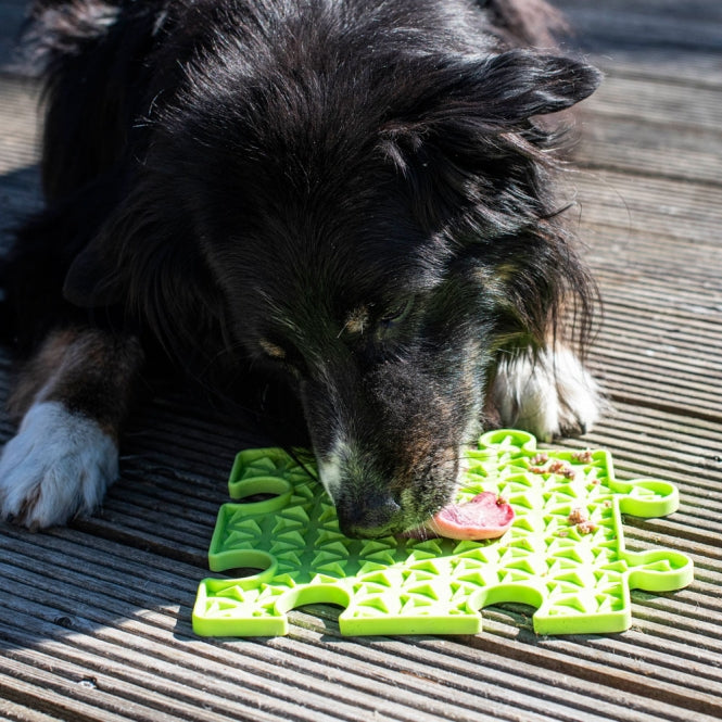 PROCYON Ladi Mat lick plate puzzle