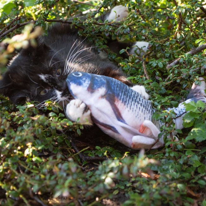Robocat Carp - 30 cm