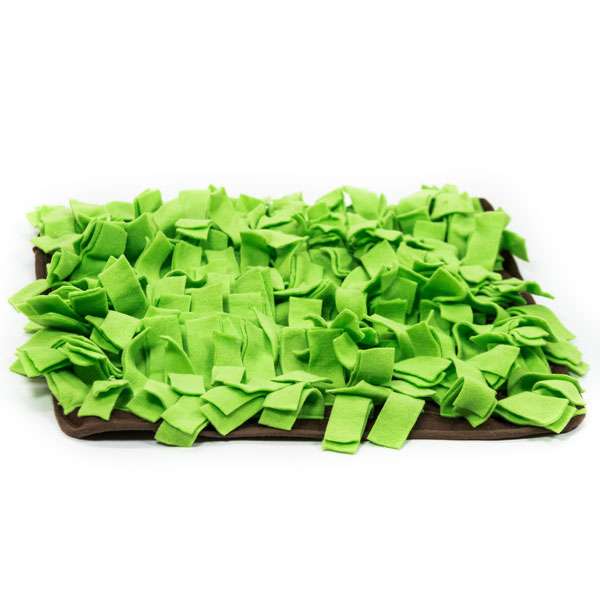 PROCYON Sniffing Meadow - Green