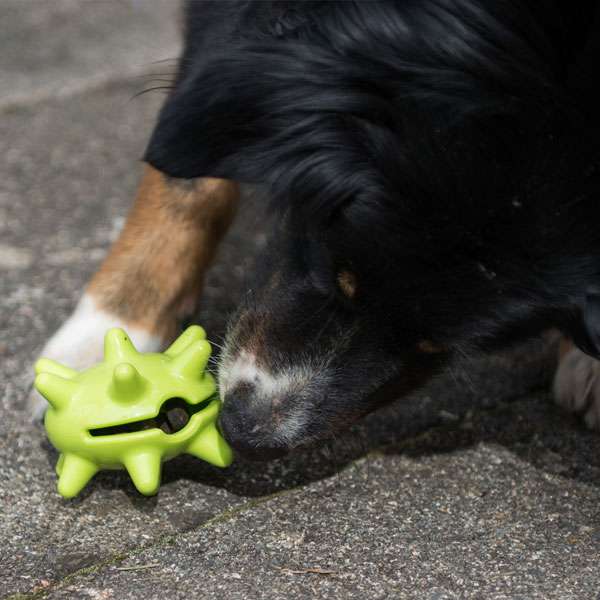 PROCYON TPR snack ball