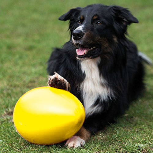 PROCYON play egg / drift egg