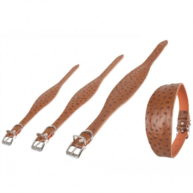 Karlie Greyhound Collar Ventus