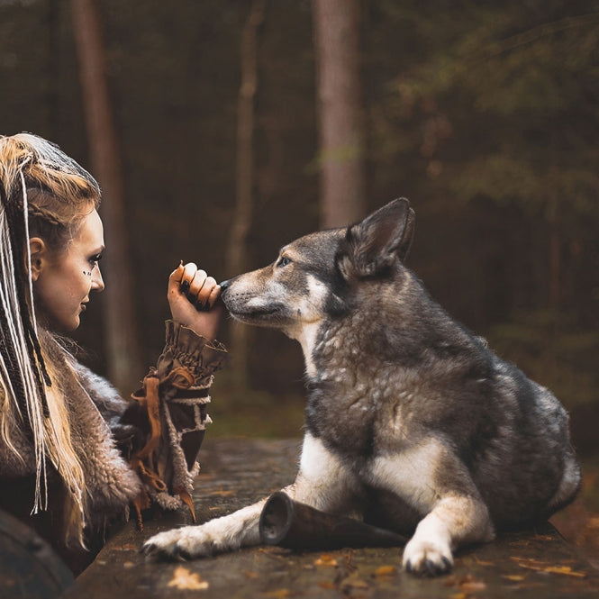 Viking Whole Horn