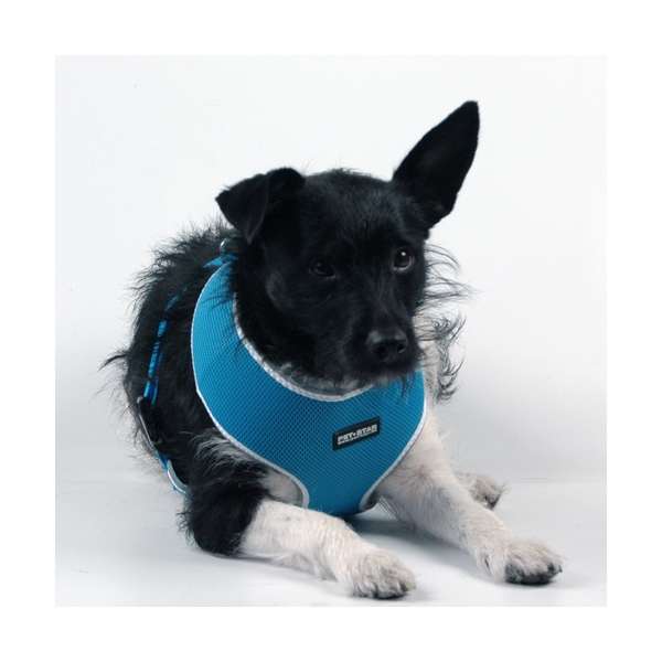 Pet-Star Soft Harness / Mesh Harness - Blue