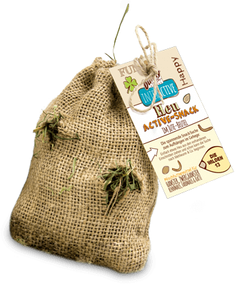 Bunny Hay Active Snack The Wild 13 30g
