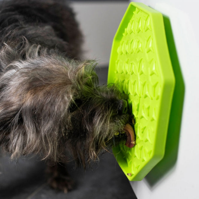 PROCYON Ladi Mat licking plate wobbler