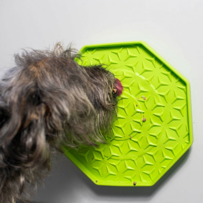 PROCYON Ladi Mat licking plate wobbler