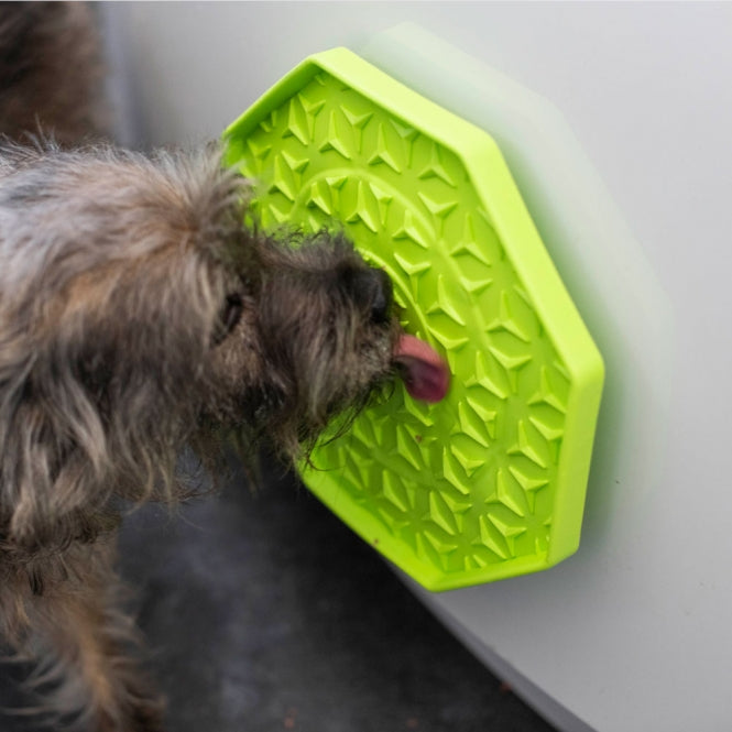 PROCYON Ladi Mat licking plate wobbler