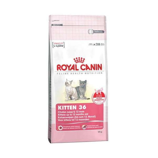 Royal Canin Kitten