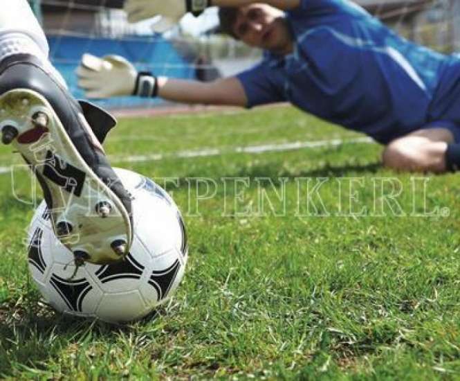 Kiepenkerl RSM 3.2 Profi Sportrasen Regeneration ohne Poa pratensis 10 kg