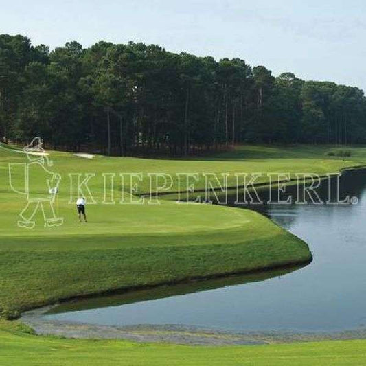 Kiepenkerl Golf Lawn Masters Reseeding 10 kg