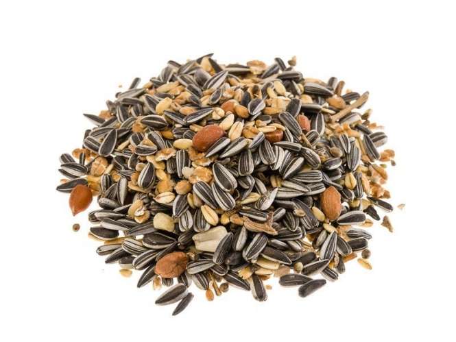 Classic Bird Tit Mix
