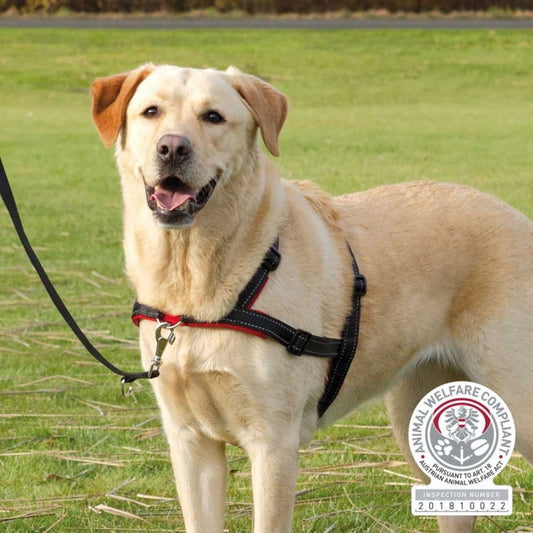 Trixie training harness Lead'n'Walk Soft