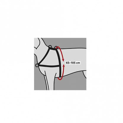 Trixie training harness Lead'n'Walk Soft