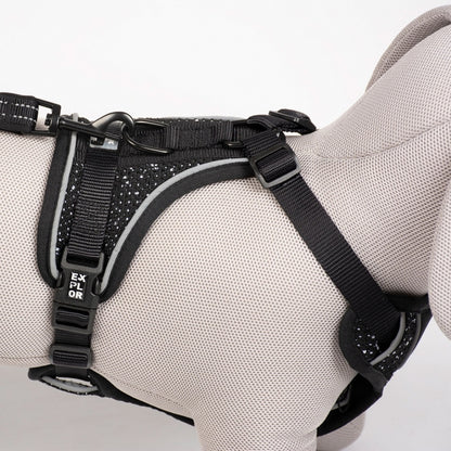 Duvoplus EXPLOR Ultimate Fit no-pull harness - granite black