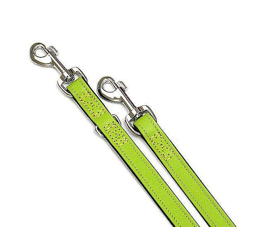 Karlie VINTAGE Leash - Kiwi