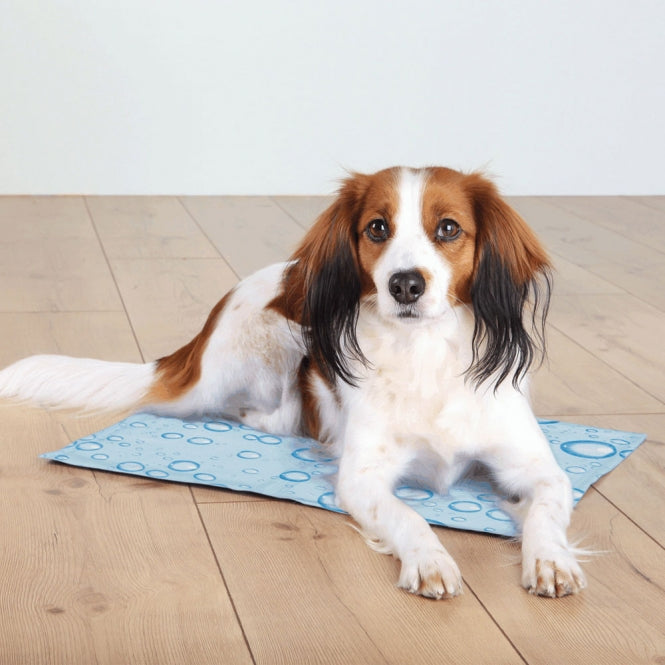 Trixie Cooling Mat - light blue