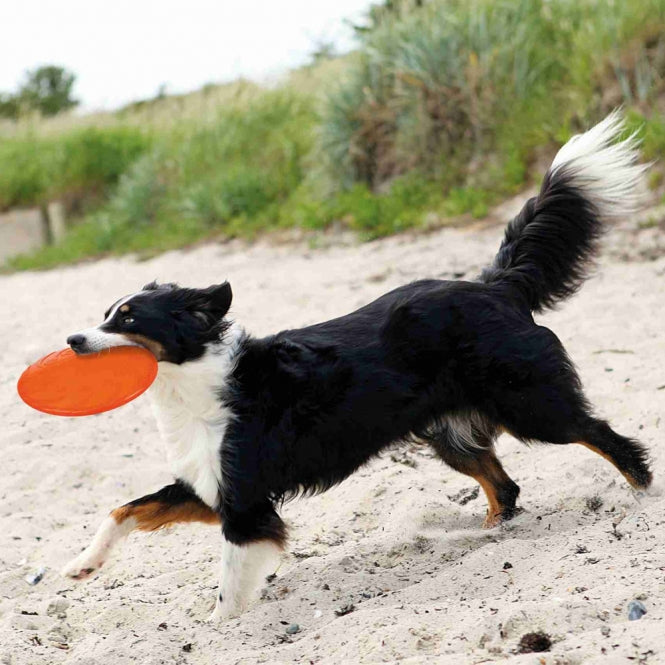 Trixie TPR Dog Disc, floating