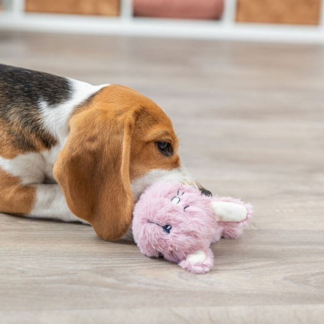 Trixie Junior Rabbit with Teething Ring