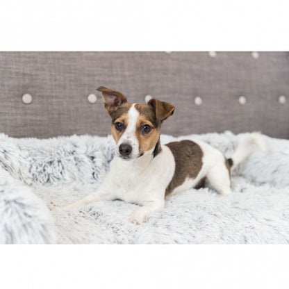 Trixie padded protective blanket Harvey