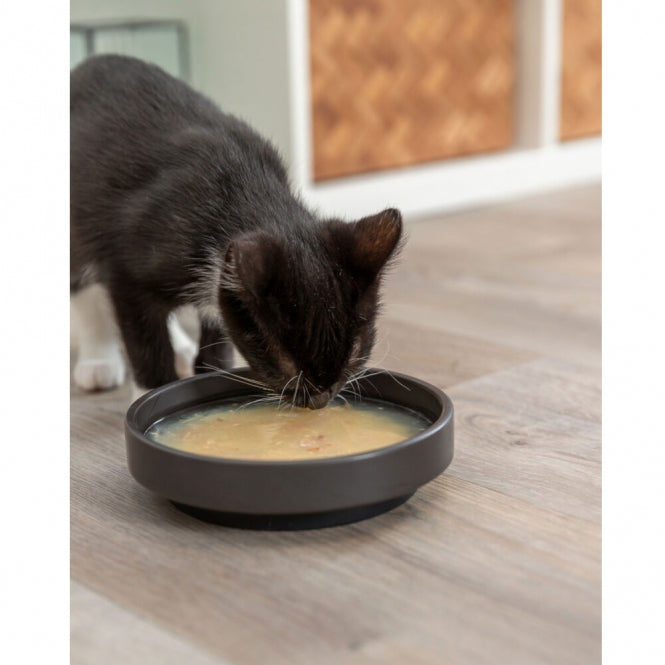 Trixie Soup with Chicken & Salmon - 80g