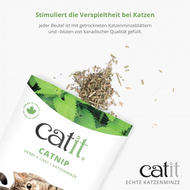Catit Echte kanadische Katzenminze