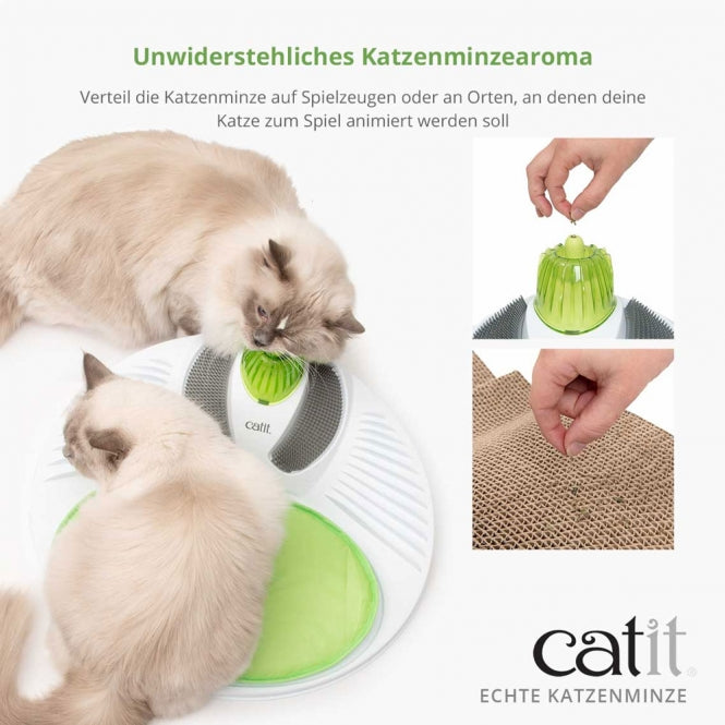 Catit Echte kanadische Katzenminze