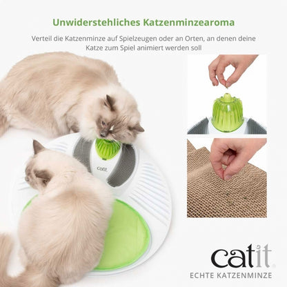 Catit Echte kanadische Katzenminze