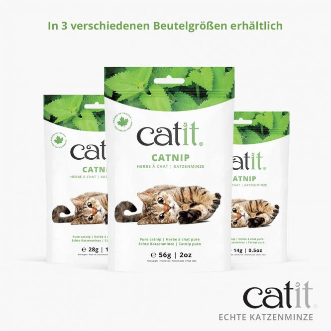 Catit Echte kanadische Katzenminze