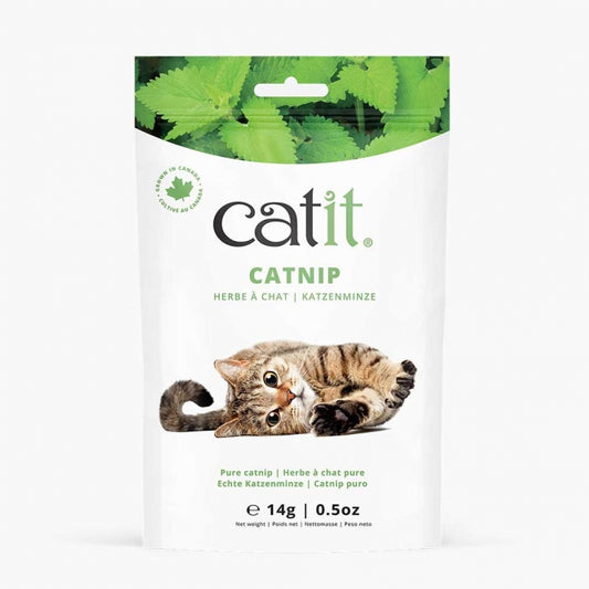Catit Echte kanadische Katzenminze