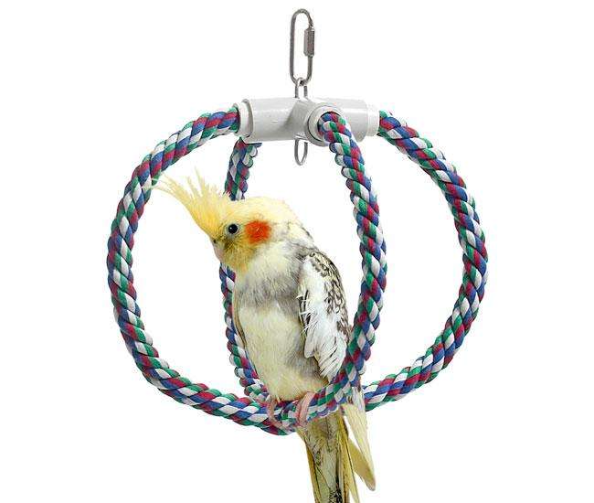 Karlie cotton swing