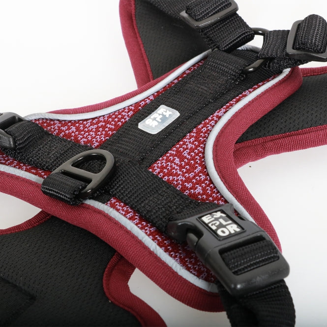Duvoplus EXPLOR Ultimate Fit no-pull harness - plum purple - XS - 28-37cm - 32-43cm
