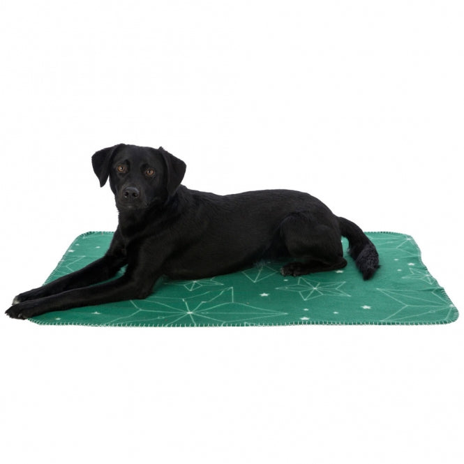 Trixie Xmas fleece blanket Luciano
