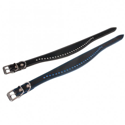 Karlie Collar Chic - Black/Blue