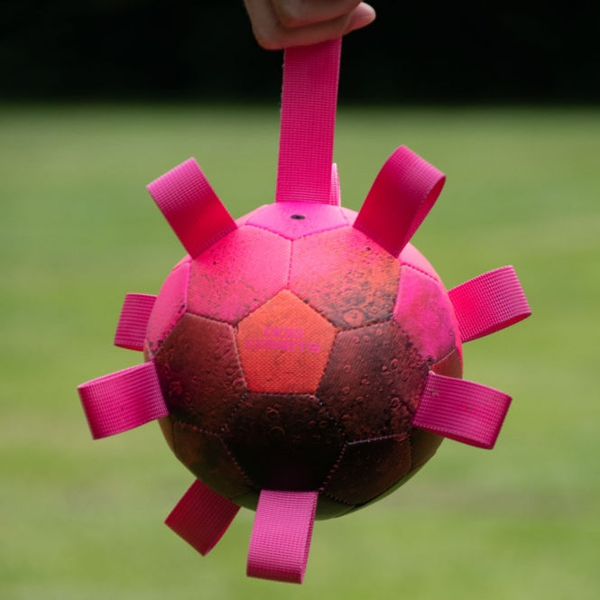 Dog Comets Ball Hypernova