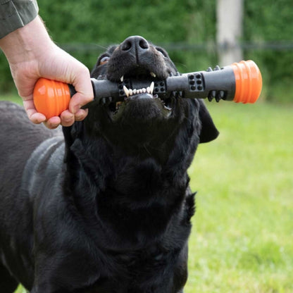 Dog Comets Meteor Wurfstock