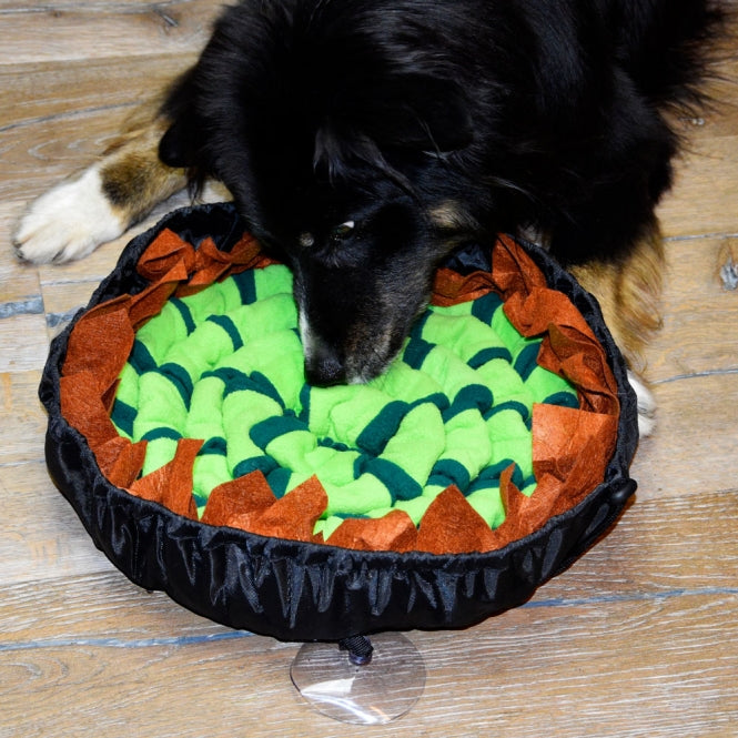 Procyon Donut Sniffing Mat