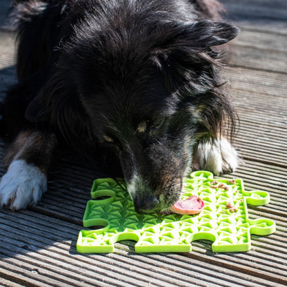 PROCYON Ladi Mat lick plate puzzle