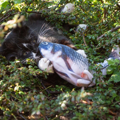 Robocat Trout - 30 cm