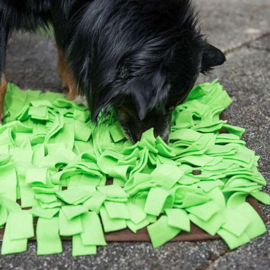 PROCYON Sniffing Meadow - Green