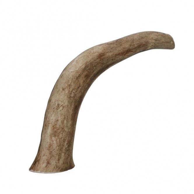 Viking Antler Hard red deer antlers