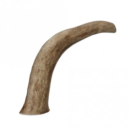 Viking Antler Hard red deer antlers