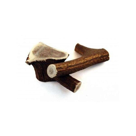 Chewie's antler snack